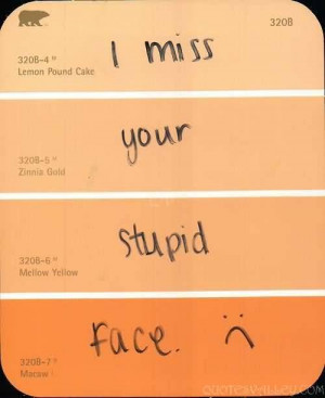 Funny Quote - I Miss Your Stupid Face.