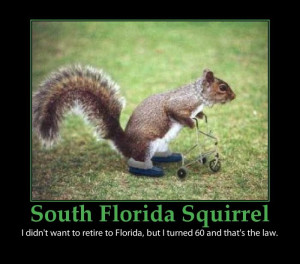 cute baby sayings for posters | South Florida Squirrel - funny poster ...