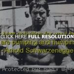 vengeance, life, quote arnold schwarzenegger, quotes, sayings, quote ...