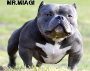 Related Gallery of The Quotes Steve Prefontain Irwin Wozniak