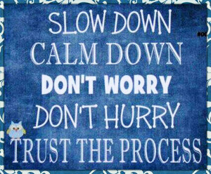 Slow Process quote #1