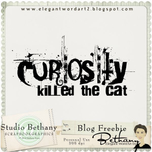 curiosity+killed+the+cat+preview.jpg