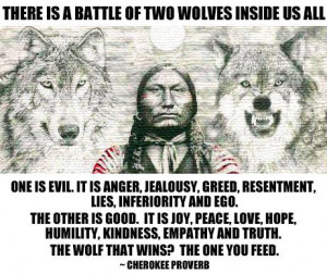 There Is A Battle Of Two Wolves Inside Of All Of Us!