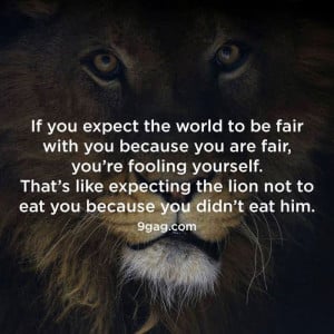 ... like expecting the lion not to eat you because you didn’t eat him