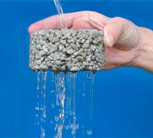 Re: Zimmer hints @ Lineup changes; Lewis says can't win in NFL giving ...