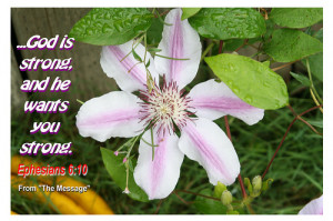 ... download – Bible verses can be found at: Inspirational Bible Verses
