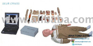 View Product Details: Advanced CPR, Trauma Training Manikin