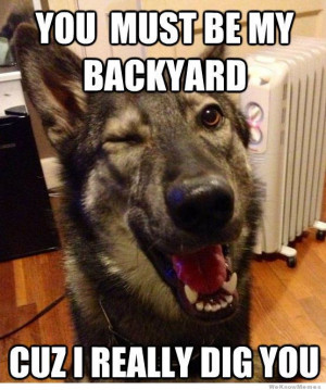 The Cutest Dog Memes. Ever.