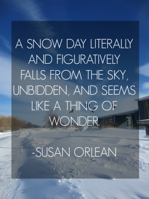 Snow Day Quote - Susan Orlean #quotes