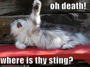 called in sick Friday…probably have missed 10 days in 27 years now ...