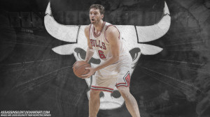 Pau Gasol Bulls Wallpaper 20