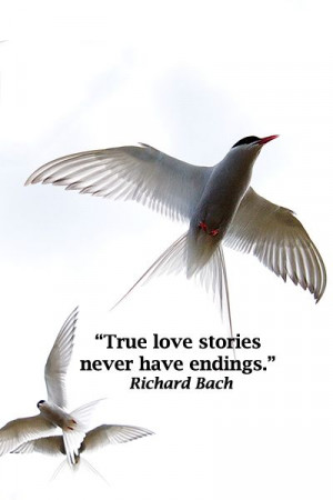 ... touchstone quotes on love at http://www.examiner.com/article/over