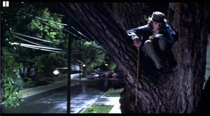 All Fall Down: The Craft & Art of Physical Comedy: Behind the ...