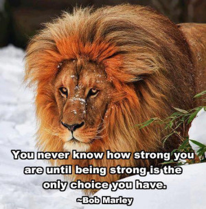 Words of #lion