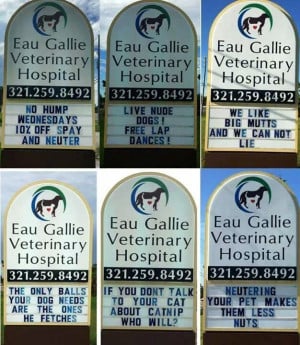 These Inappropriate Vet Signs Are Hilarious
