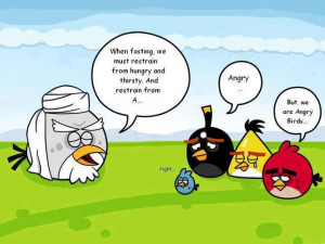 Funny Fasting Images Of Angry Birds