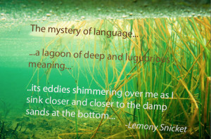 Daniel Handler Author