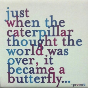 Funny Quotes Contact Us DMCA Notice