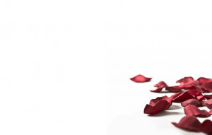 Funny Quotes Contact Dmca...