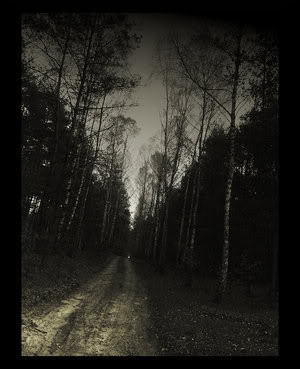 dark path