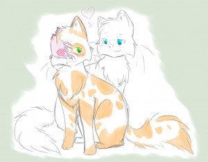 Go Back > Images For > Warrior Cats Cloudtail And Brightheart