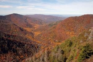fall is one of the most popular seasons in the Great Smoky Mountains ...
