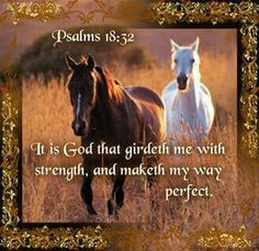 ... words bible scriptures jesus christ psalms 18 32 animal boards bible