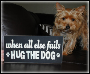 When all else fails Hug The Dog