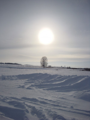 Traveling the Trans-Siberian Railway