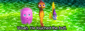 Anything else: I spent 2 days quoting Finding Nemo. ‘You touched the ...