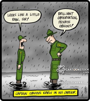 Drill Sergeant cartoons, Drill Sergeant cartoon, funny, Drill Sergeant ...