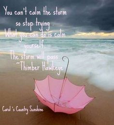 ... sunshine on facebook more calm blinds storms humor quotes case storms
