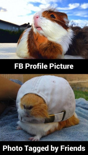 Funny FB Profile Picture MEME and LOL