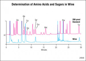 Amino Acids
