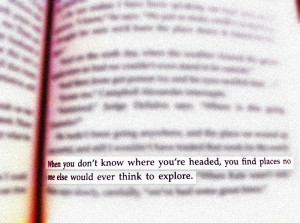 My Sister's Keeper Quote by thedivster