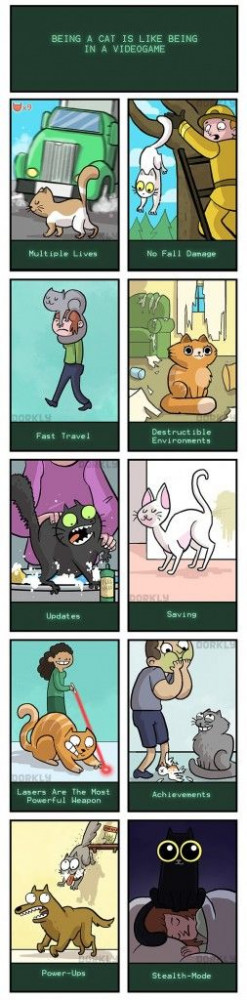 Being-a-Cat-is-Like-Being-In-a-Videogame-253x1024.jpg