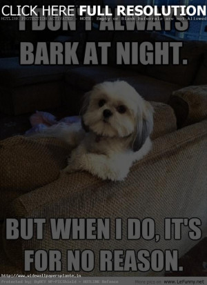 Funny pictures of dogs with quotes