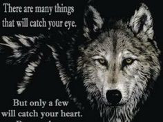 Native American pictures and quotes to share on facebook | Wolf Quote ...