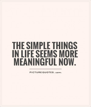The simple things in life seems more meaningful now. Picture Quote #1