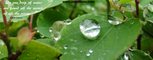 Facebook Cover Image Water Drops quote on drop of water and secrets of ...