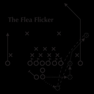 Flea Flicker Diagram Wall Quotes™ Decal
