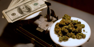 ... Recent News Lawsuit claims marijuana taxes violate Fifth Amendment