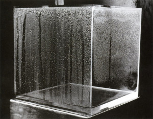 Hans Haacke, Condensation Cube (1963)In his early work, artist Hans ...