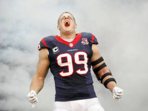 Houston Texans: Repeat or Success?