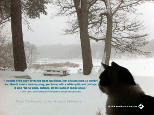 wonder if the snow loves the trees DCD LewisCarroll quote Dela