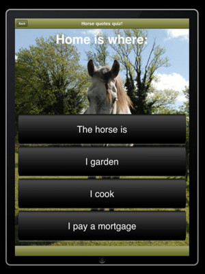 Horse Quotes - Horsemanship Sayings for Equestrians - iPhone Mobile ...