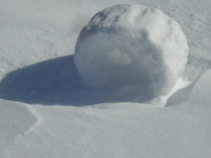Sick Of Snow Quotes Snow rollers!