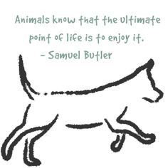 Good Pet Quotes