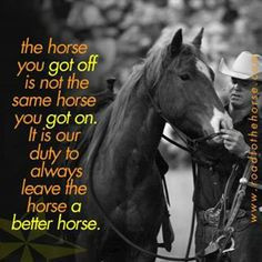 ... horse more better hors horse quotes horse training quotes hors quotes