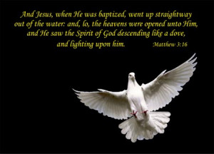 Scripture Verse Greeting Cards for Special Occasions